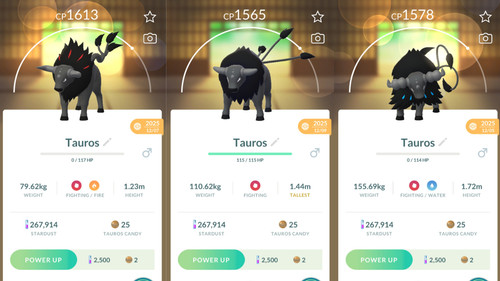 Non shiny - shiny, (non