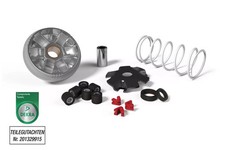 VARIATORE MALOSSI MULTIVAR