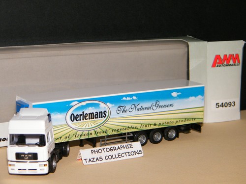 Man transports frigo oerlemans - man,