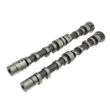 Coppia alberi a camme per Audi