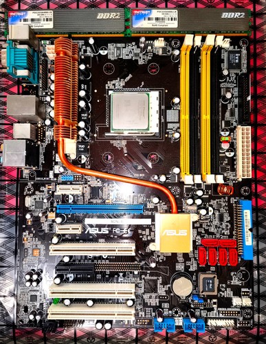 Asus m2n scheda - madre, amd
