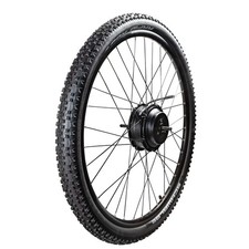 Bicicletta elettrica ruota