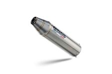 Honda TRX 250X Scarico