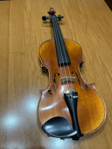 Gewa violino maestro 4 - violino, 4/4