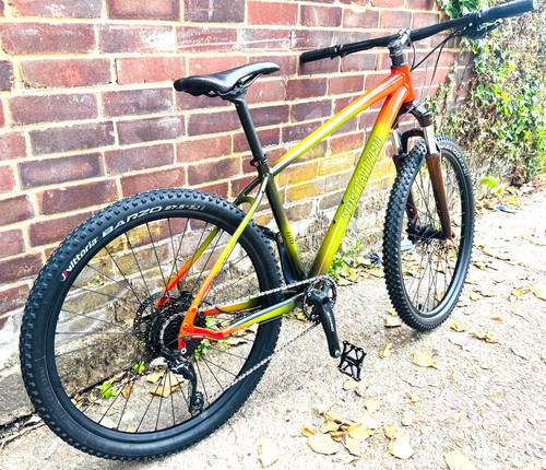 Specialized elite custom - specialized,
