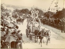 Fiore Sfilata Cavallo Carrozza