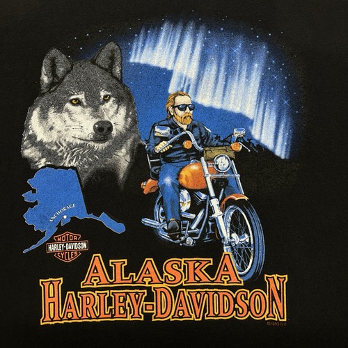 Camicia vintage harley - camicia,