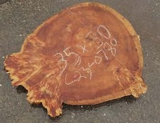 Black Poplar slab | live edge