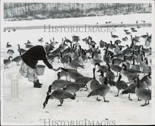 1963 press photo betty - press,