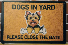 Yorky Cani Setosi in Giardino