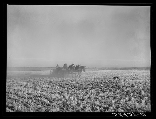 Weld county colorado fred - county,