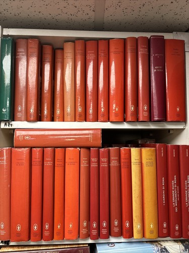 Biblioteca newton libri - biblioteca, su