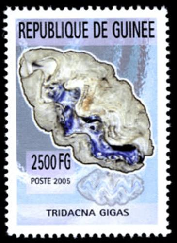 Guinea timbri 2006 animali - guinea,