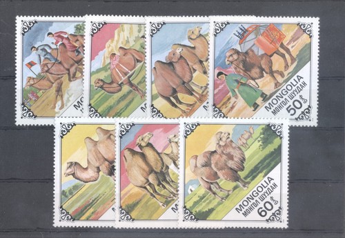 Cammello mongolia - (705962),