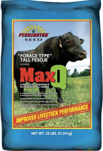 Pennington maxq tall fescue - maxq,