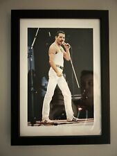 Freddie Mercury Live In Concert - Immagine incorniciata A4