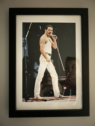 Freddie mercury live - freddie,