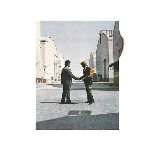 Pink floyd wish - -, you