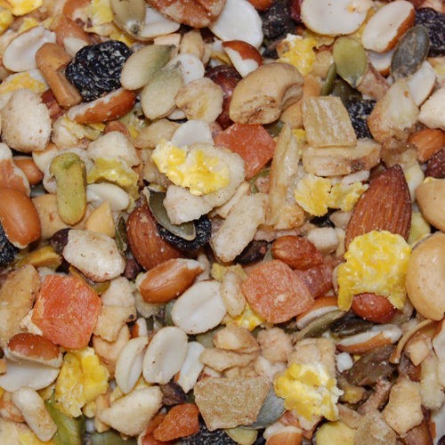 Higgins boca nuts pappagallo - nuts,