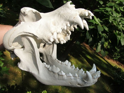 Scultura mastino spagnolo