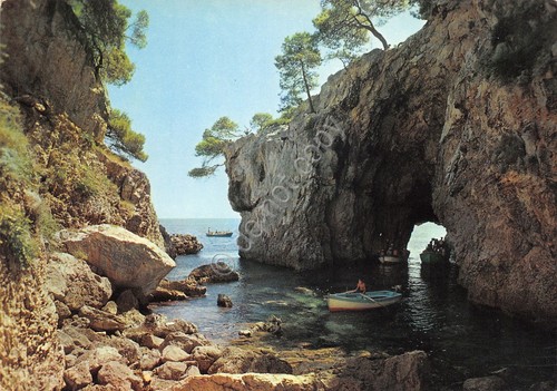Cartolina isole tremiti - cartolina, s