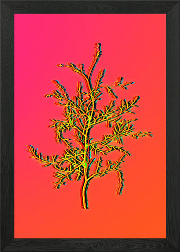 Disegni botanici neon con - botanici, al