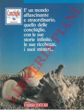 Collezioni - Conchiglie - AA - Conchiglie del mondo.