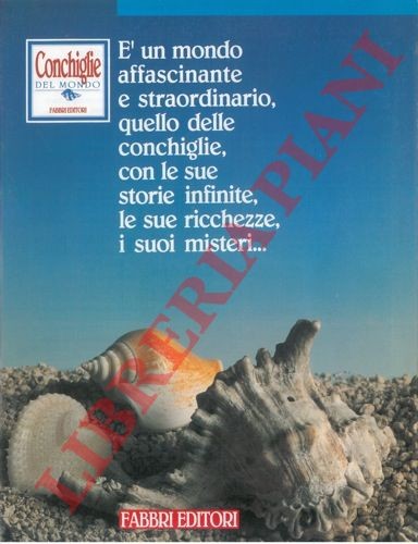 Collezioni conchiglie aa - -,