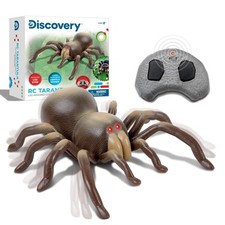 Discovery RC Tarantola Spider