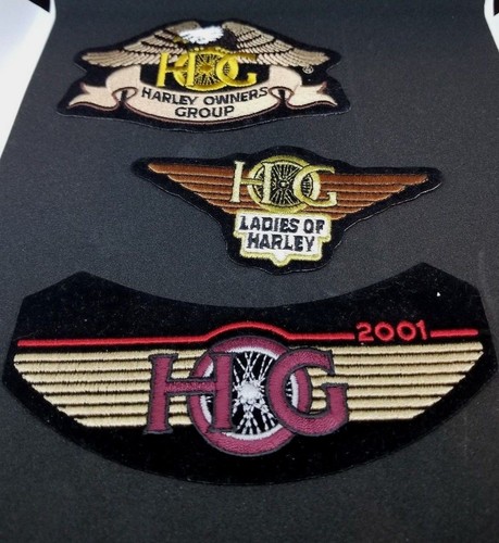 2001 hog harley owner - harley,