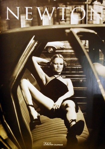 Taschen helmut newton 2001 - helmut,