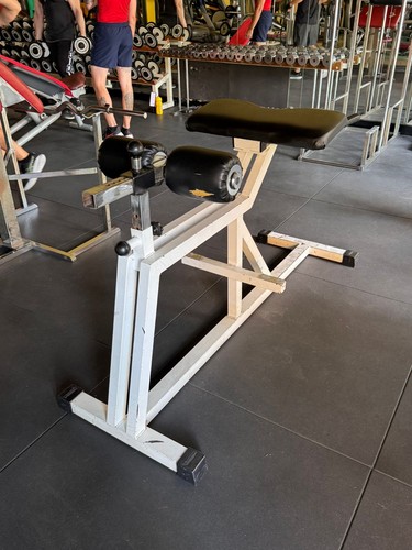 Hyperextension technogym - hyperextension,