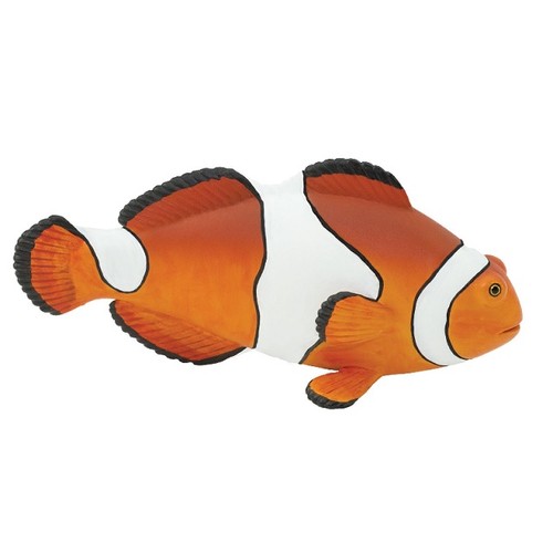 Safari ltd 261829 pesce - ltd,
