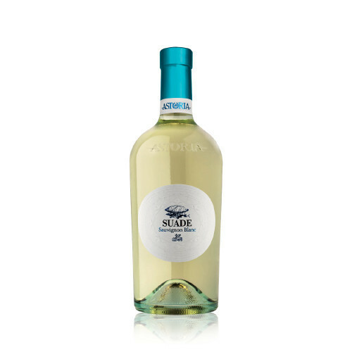 Vino bianco sauvignon suade - bianco,