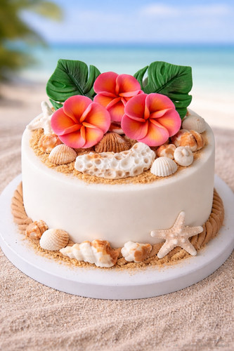 Conchiglie mare artigianali - conchiglie, di