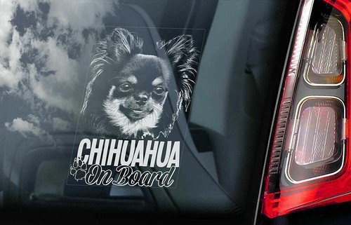Adesivo auto chihuahua - -, cane
