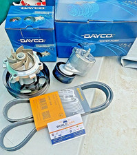 TENDICINGHIA CINGHIA SERVIZI POMPA ACQUA 1.3 MULTIJET MJT 500 DOBLO PANDA PUNTO