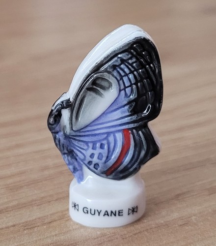 Fève papillon guyane - fève, 1712