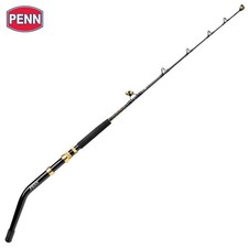 Canna da pesca PENN Big Game