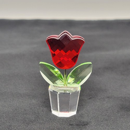 Fiore tulipano rosso - di,