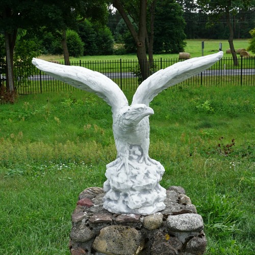 Aquila aquila reale sinistra