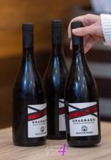 Antiche Radici Gragnano Vino