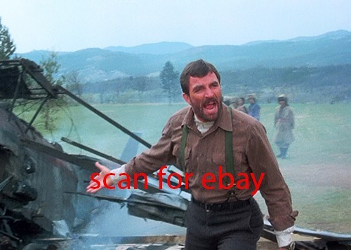 Magnum tom selleck - tom,