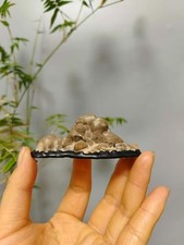 Cina pietra naturale pietre di