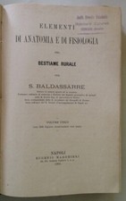 Baldassarre Elementi di
