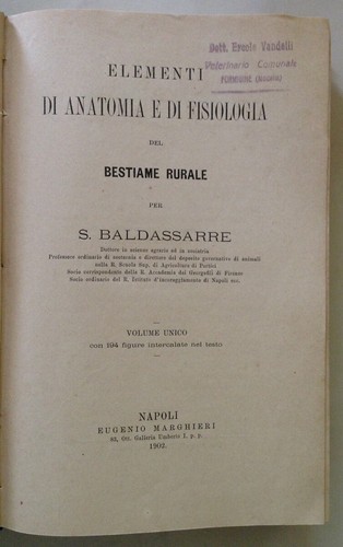 Baldassarre elementi - baldassarre, di