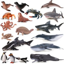 Animale dell'oceano zoo squalo