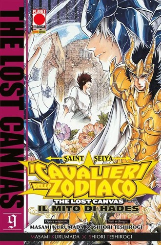 Saint seiya i cavalieri - saint,