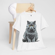 Chubby British Shorthair Cat