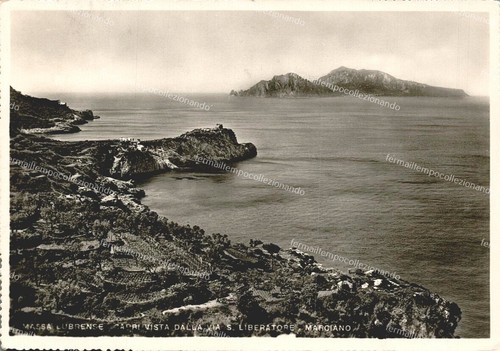 Do292 cartolina massa - do292,
